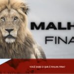 Você sabe o que é Malha Fina?